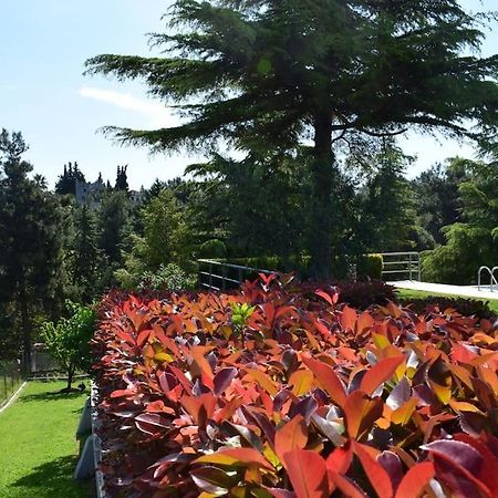 Villa Casa Chrissy Πλαγιάρι Εξωτερικό φωτογραφία